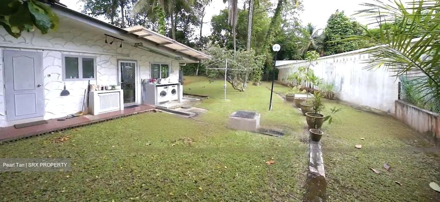 Leedon Park (D10), Detached #476707741